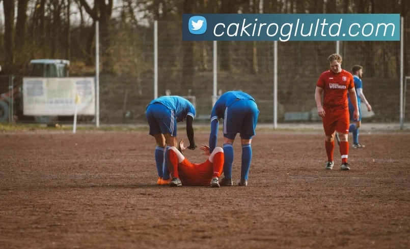 互动解说服务